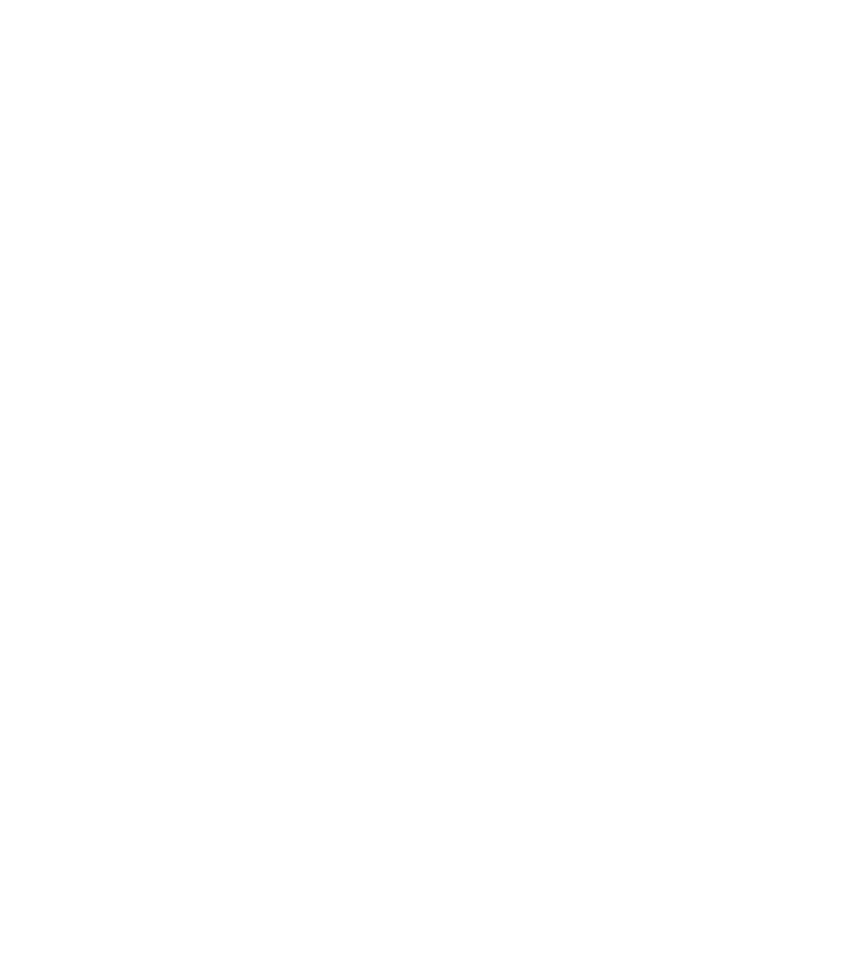 Pocomoke Chamber logo, White
